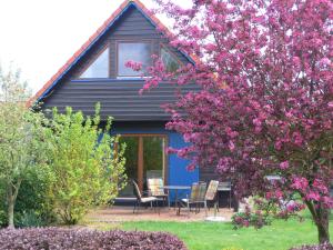 een blauw huis met een tafel, stoelen en bloemen bij Ferienhaus 3 Köhr-Eickhoff in Lembruch