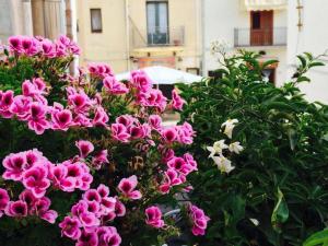 un mazzo di fiori rosa di fronte a un edificio di Ai Dammusi Rooms a San Vito lo Capo
