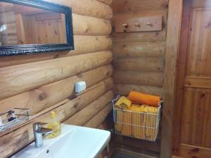Koupelna v ubytování Safari House