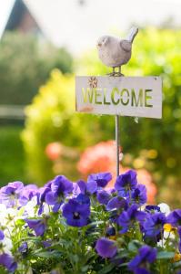 a bird sitting on a welcome sign next to purple flowers at Haus Seestern in Kalkar