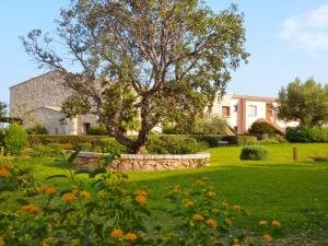 a house with a tree in the middle of a yard at Il Borgo Appartamenti by KasaVacanze in Porto San Paolo