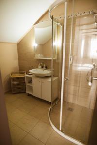 a bathroom with a sink and a shower at Casa Tirol Blaj in Blaj