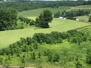 une vue aérienne sur un champ verdoyant planté d'arbres dans l'établissement Carlisle Inn Walnut Creek, à Walnut Creek