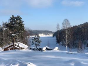 uma colina coberta de neve com um lago ao fundo em Forrest Lodge Karelia em Reuskula