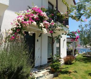 Zahrada ubytování Masal Tatil Evi
