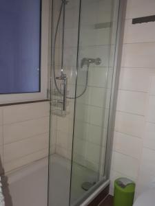 ヴェルニゲローデにあるSmallest FeWoのバスルーム(ガラスドア付きのシャワー付)
