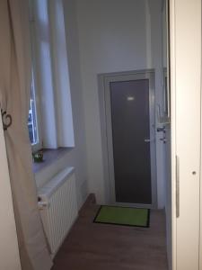 łazienka z prysznicem i zielonym dywanem w obiekcie Smallest FeWo w mieście Wernigerode