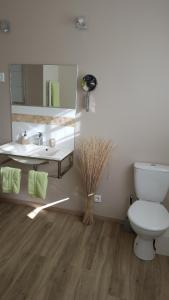 La salle de bains est pourvue de toilettes, d'un lavabo et d'un miroir. dans l'établissement Les Nymphéas, à Saint-Lyphard