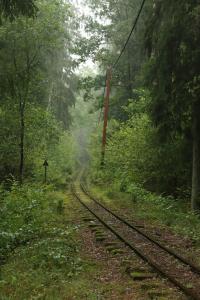 Gambar di galeri bagi Dalej Nie Idę - dom nad Czarną Hańczą di Buda Ruska +25 gambar