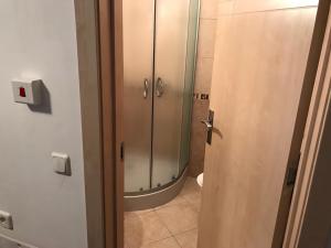 バンスコにあるPirin Heightsのバスルーム(ガラス張りのシャワー、トイレ付)
