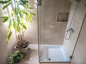 a shower stall with plants in a bathroom at Ericeira Sea View - Mar à Vista in Ericeira