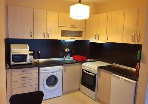 a kitchen with a sink and a washing machine at Sirena Appartment in Sveti Vlas