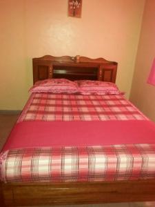 Una cama con un edredón rosa encima. en Huize Beekhuizen, en Paramaribo
