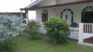 una casa con dos arbustos delante de una valla en Huize Beekhuizen, en Paramaribo