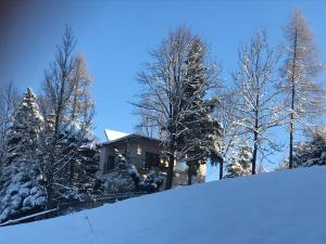 ビトゥフにあるApartment WitowSkiの雪に覆われた木々の家