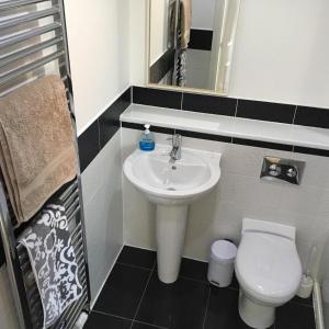 ein Bad mit einem Waschbecken und einem WC in der Unterkunft 17 Aspen Road in Rugby