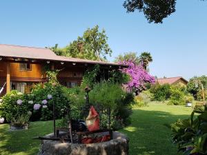 a garden with a chicken sitting on a fire place at Sta. Marta B&B in Curicó