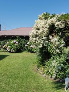 Zahrada ubytování Sta. Marta B&B
