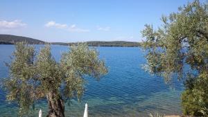 a view of a large body of water with two trees at Saint Andrews Bay in Milína