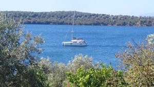 un barco blanco flotando sobre un gran cuerpo de agua en Saint Andrews Bay, en Milina