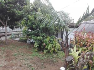 Zdjęcie z galerii obiektu Maison Au pied du Volcan w mieście Curepipe