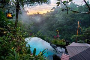 un charco de agua en medio de un bosque en Bidadari Private Villas & Retreat, en Ubud