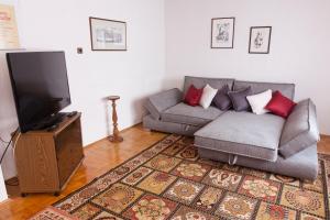 Ferienwohnung Kurrer في Plankstadt: غرفة معيشة مع أريكة وتلفزيون بشاشة مسطحة