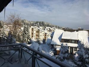 vistas a una ciudad nevada con edificios cubiertos de nieve en schwarzwald-apartment, en Schönwald