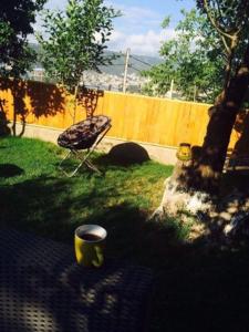 un patio con un árbol y una valla amarilla en Maia's house with garden, en Tiflis