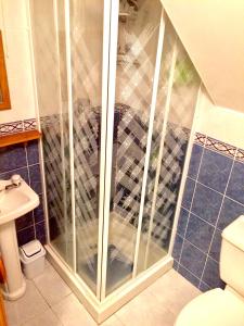 a shower with a glass door in a bathroom at Caragh Glen B&B in Killorglin