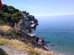 a house on a cliff next to the ocean at Pension los Verdiales in La Herradura