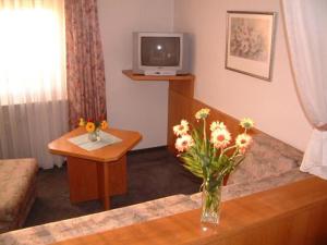 TV a/nebo společenská místnost v ubytování Hotel Ritter