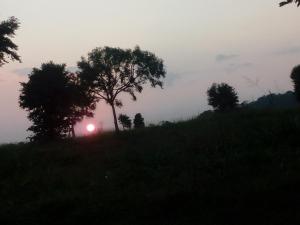 Alba o tramonto visti dall'interno della stanza in casa privata o dai dintorni