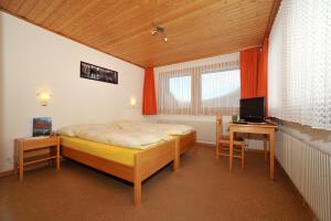 TV a/nebo společenská místnost v ubytování Hotel Sparrhorn