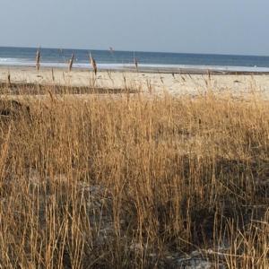 Gallery image of Ferienwohnung an der Ostsee bei Laboe in Stein