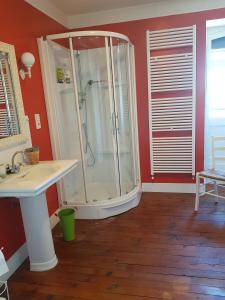 a bathroom with a shower and a sink at Le Béarn sous les toits in Nay