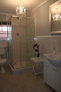 a bathroom with a shower and a toilet and a sink at De Zevende Hemel Guesthouse in Secunda