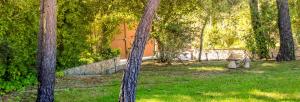 a fire hydrant sitting in the grass next to trees at Quinta Dos Amarelos no Meco in Aldeia do Meco