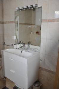 a bathroom with a white sink and a mirror at Skier's cave in Kranjska Gora