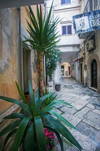 un callejón con palmeras y flores en una calle en Vico IV, en Gaeta
