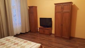 1 dormitorio con 1 cama, TV y armario en Apartman v centru Karlovych Varu en Karlovy Vary
