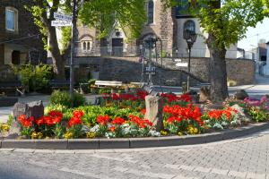 Zahrada ubytování Ferienwohnung-malanders