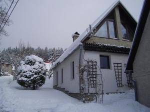 una casa ricoperta di neve con un albero di fronte di Chata Pavla a Jablonec nad Nisou