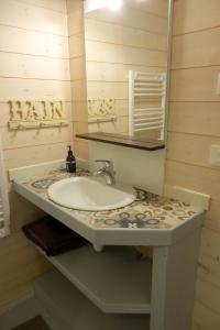 a bathroom with a sink and a mirror at Maisonnette (type studio) Indépendante in Montlouis-sur-Loire