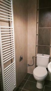 a bathroom with a toilet and a sink at Decosuite Junior Apartments in Kalabaka