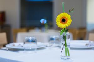 a vase with a sunflower in it on a table at Hotel Mediterraneo in Sottomarina