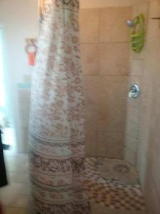 y baño con ducha y cortina de ducha. en Villa Marsana, en Aguada
