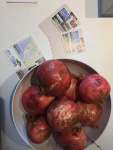 a bowl of pomegranates sitting on a table at Arli Hotel Hideaway Punta Ala - Adults Only in Punta Ala
