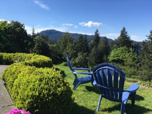 two blue chairs sitting in the grass near some bushes at Belle Maison Auprès De La Mer in Sidney +7 photos