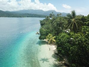 uma vista aérea de uma praia no meio da água em Evis Resort at Nggatirana Island em Halisi